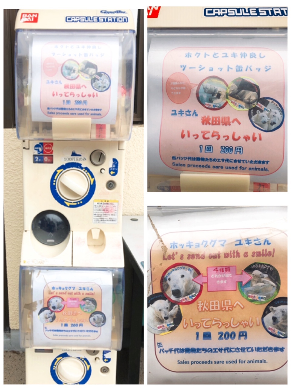 a0116430_18314372.jpeg