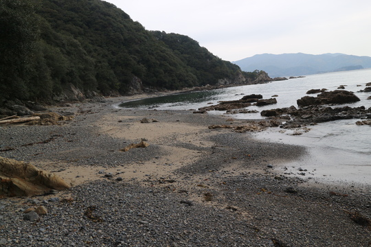 e0272335_16342190.jpg