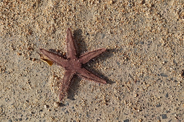 a0242438_21013234.jpg