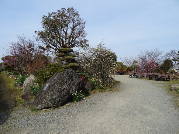 和泉リサイクル環境公園 日本庭園 彩の気まぐれ写真 和泉リサイクル環境公園 日本庭園 彩の気まぐれ写真