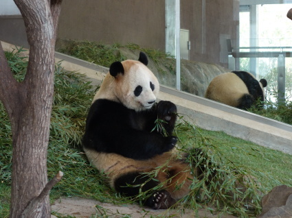 f0227248_00355444.jpg