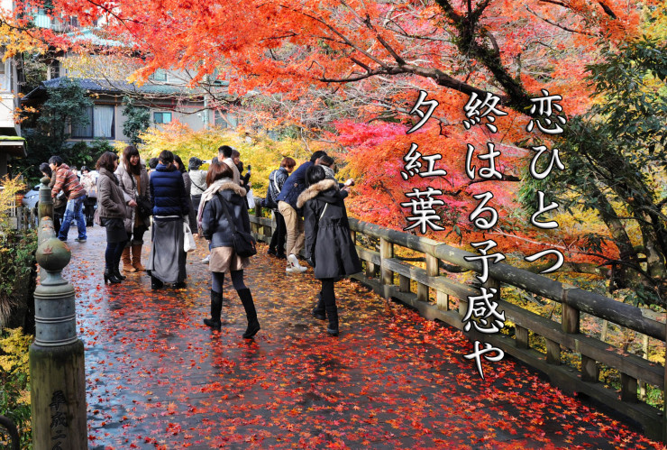 第8回山中温泉フォト575 最優秀賞と優秀賞の発表です_d0095673_18320220.jpg