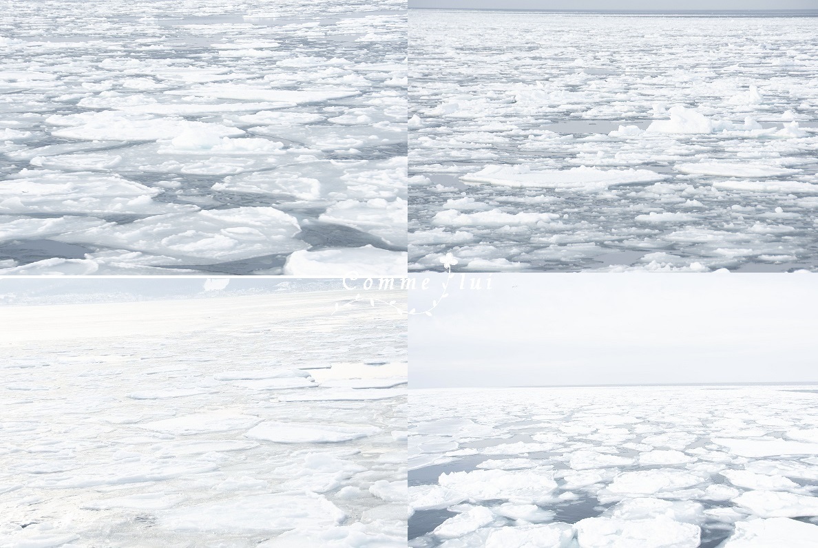 北の大地・北海道へ~極寒編~_a0192475_16043263.jpg
