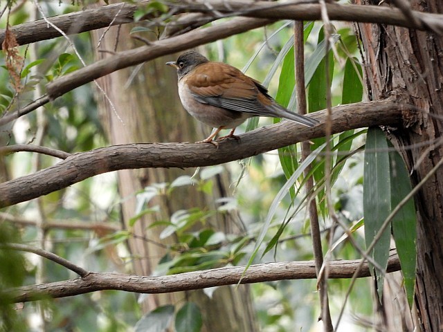 f0378979_16131146.jpg