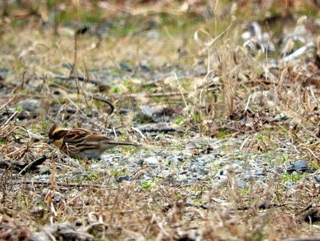 f0378979_16143877.jpg