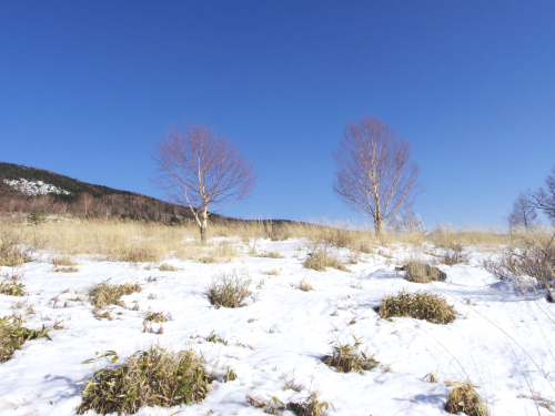 坪庭から山麓駅まで下りてみた（2/21）_c0051781_00091347.jpg