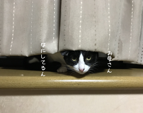 a0216583_22274979.png