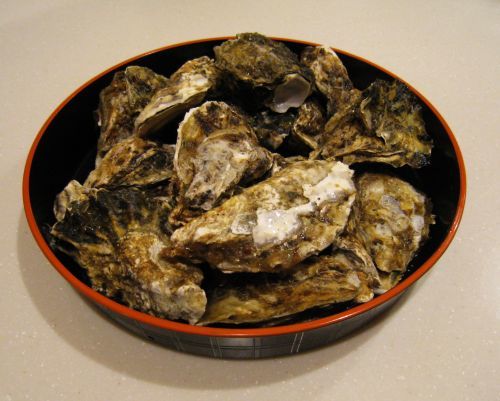 豊前海一粒かき_b0170184_22515510.jpg