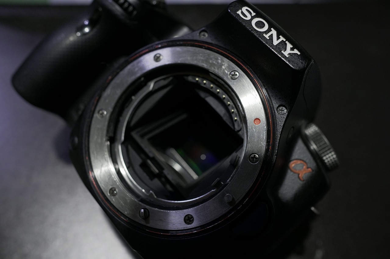 本日のジャンクは SONY α55+Minolta 50mm f2.8 Macro なのだ 