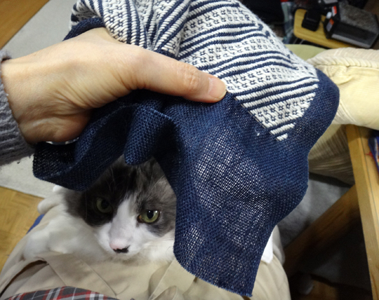 こぎん刺しと猫と♪ 馬のクツワで大物に挑戦3 完成(^^)_a0136293_14564108.jpg