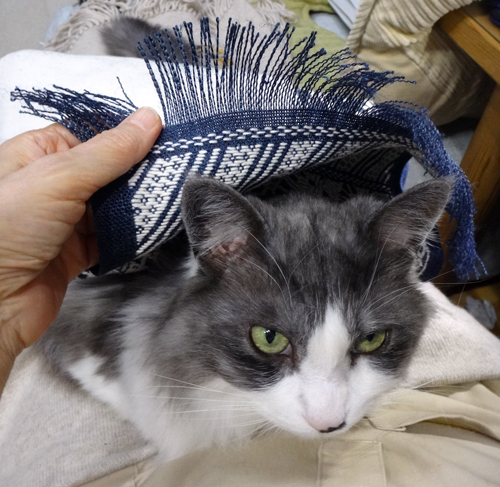 こぎん刺しと猫と♪ 馬のクツワで大物に挑戦3 完成(^^)_a0136293_15241047.jpg