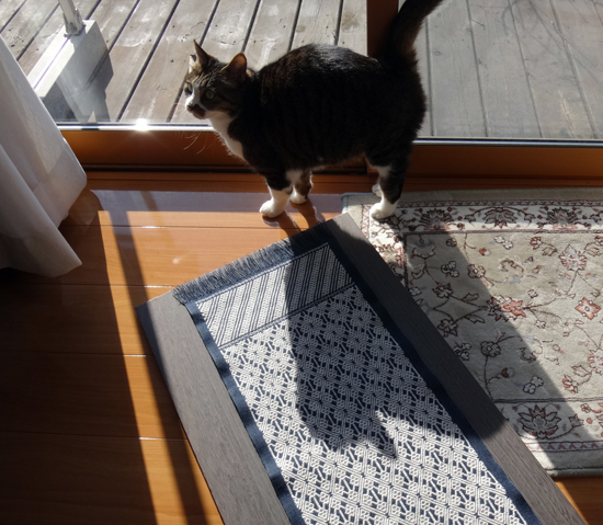 こぎん刺しと猫と♪ 馬のクツワで大物に挑戦3 完成(^^)_a0136293_15310055.jpg