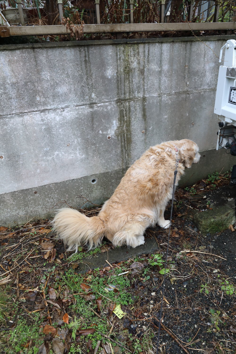 エクストラエクストラボーナス♪_b0275998_09523675.jpg