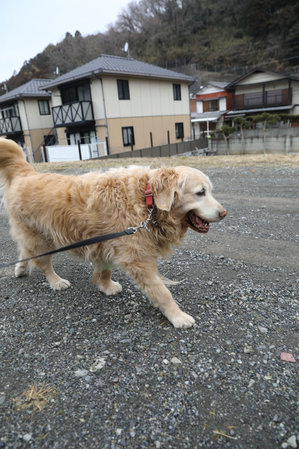 エクストラエクストラボーナス♪_b0275998_10094254.jpg
