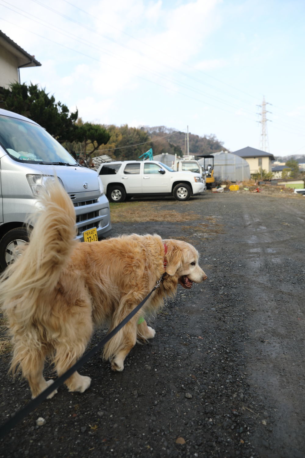 エクストラエクストラボーナス♪_b0275998_10175720.jpg