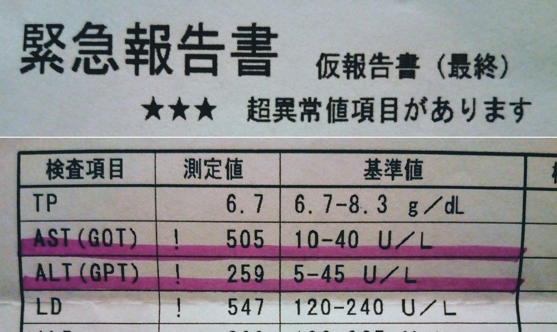 a0057402_23415777.jpg
