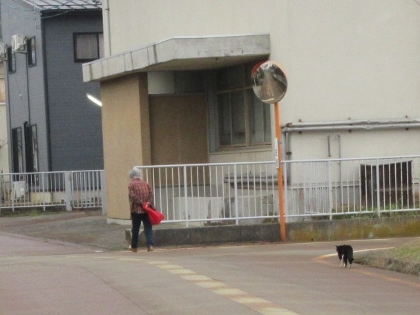 a0203003_17593240.jpg