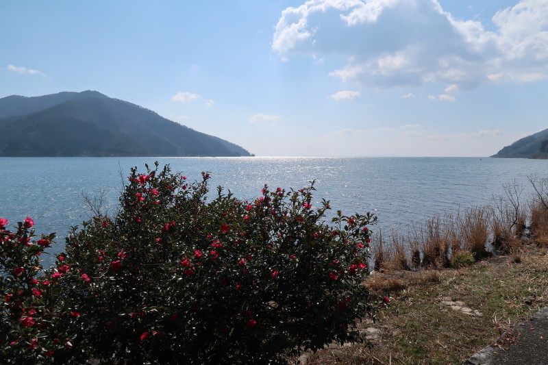 d0103314_23184914.jpg