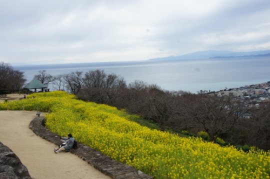 【2019年2月　伊豆旅行①（吾妻山公園】_f0215714_16591537.jpg