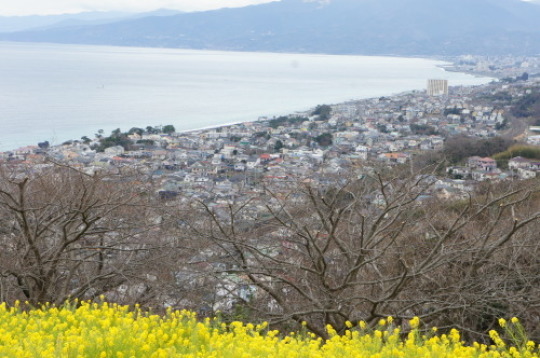 【2019年2月　伊豆旅行①（吾妻山公園】_f0215714_16593308.jpg