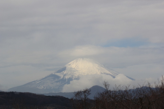 【2019年2月 伊豆旅行①(吾妻山公園】_f0215714_17000781.jpg