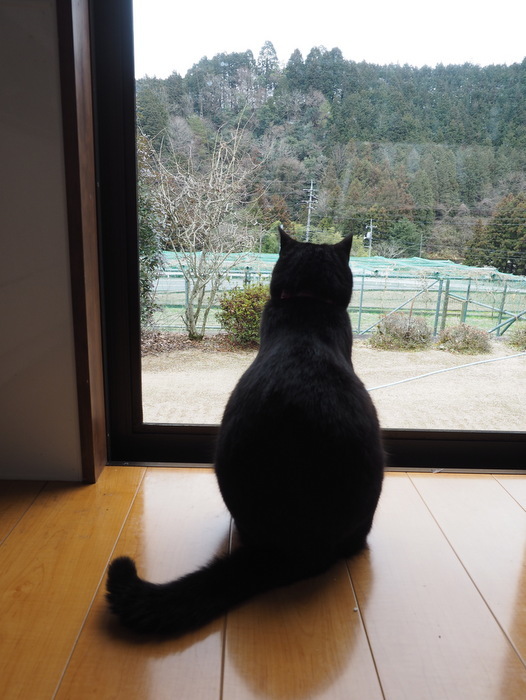 今日のくうちゃん_c0116915_23452202.jpg