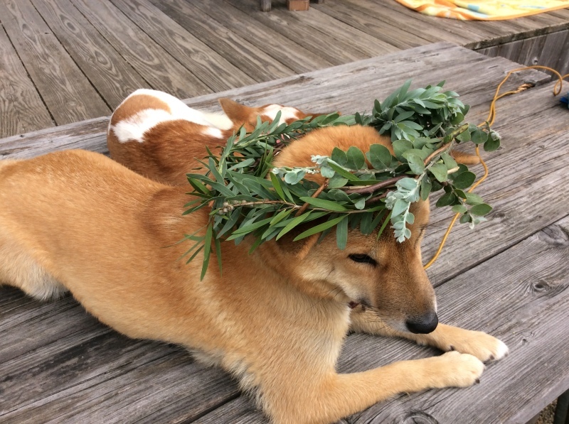 b0241616_12533738.jpeg