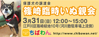 3/26引き出し編・レポート紹介　全　４５頭_f0078320_04481843.jpg