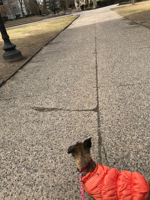 d0269832_10075755.jpeg
