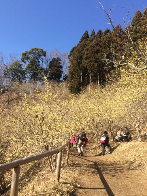 a0223037_14224138.jpg