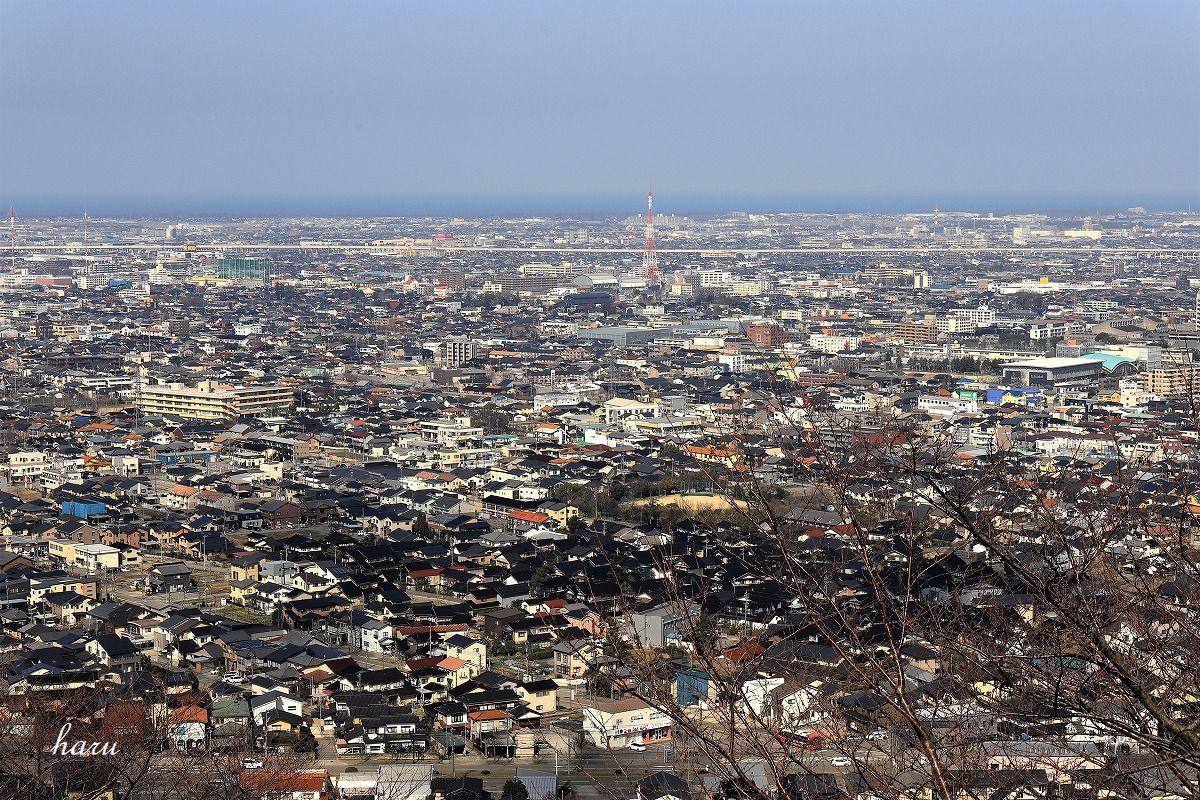 f0297537_11541701.jpg