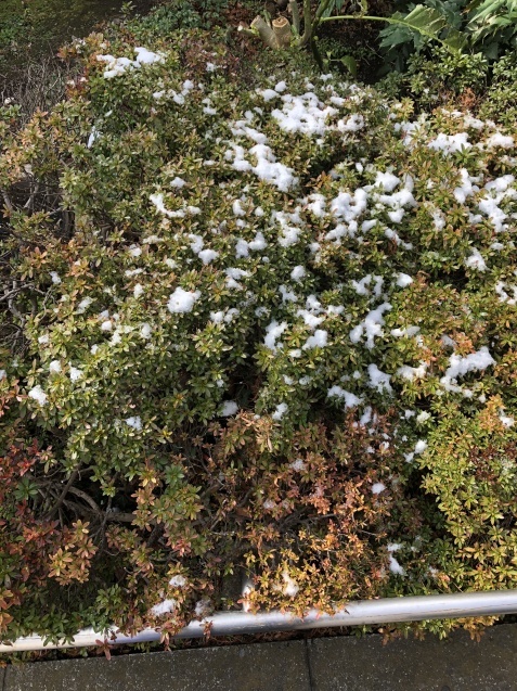 a0167341_13411234.jpeg