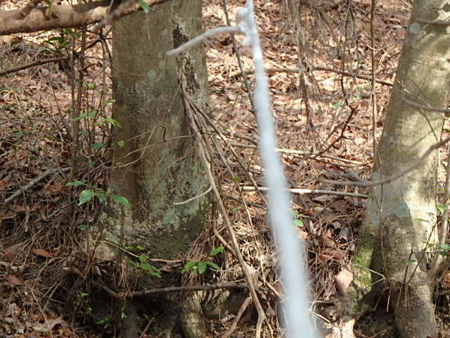 f0334143_22181036.jpg