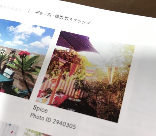 f0304452_10391135.jpeg