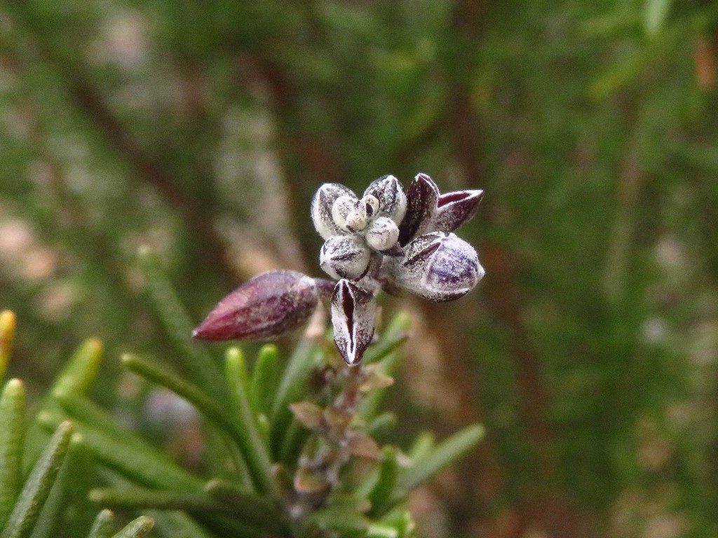 a0018655_09171340.jpg