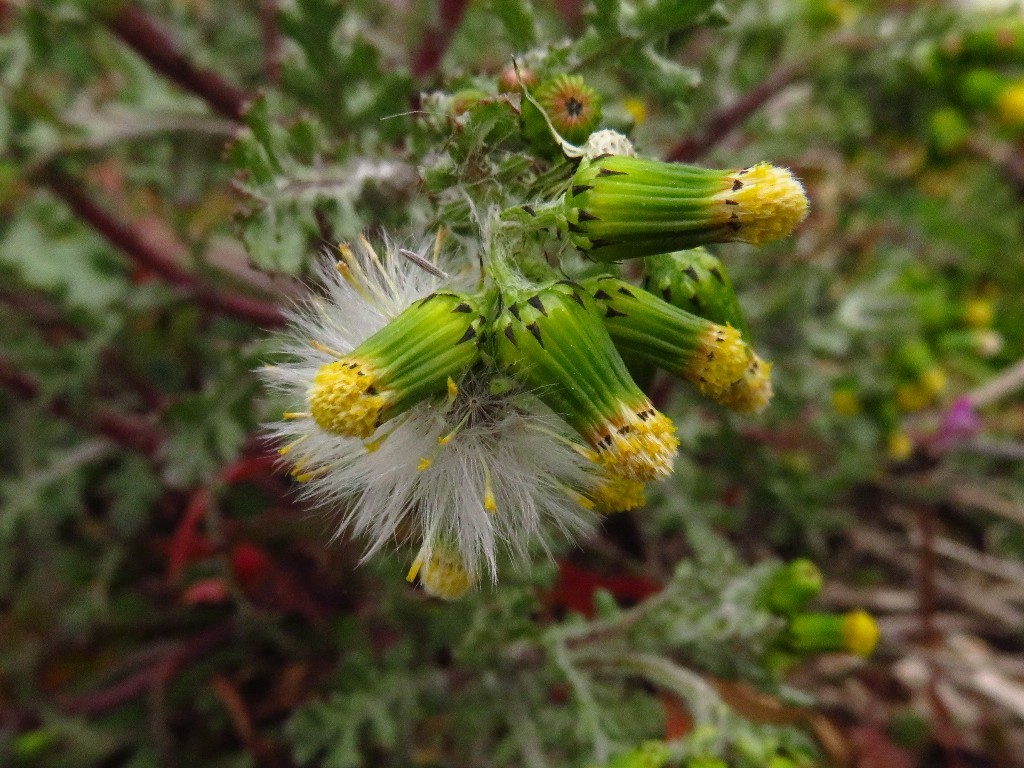 a0018655_09305770.jpg