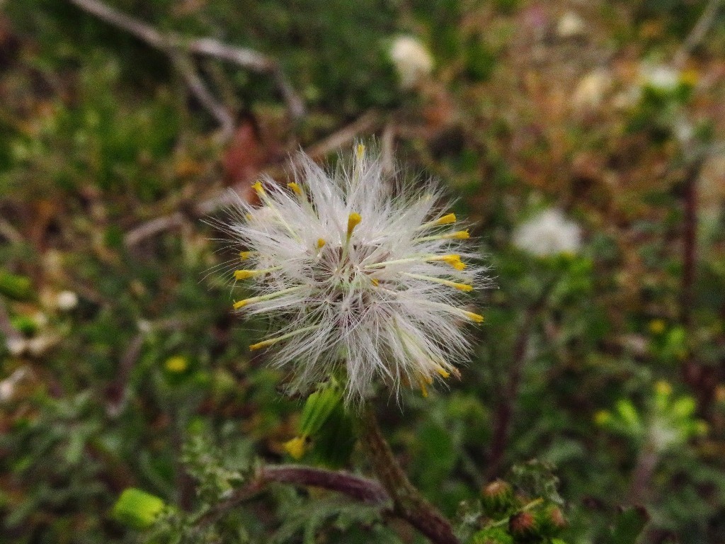 a0018655_09375627.jpg