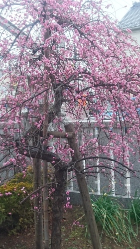 f0382570_20023573.jpg