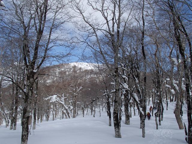 a0344771_16083449.jpg
