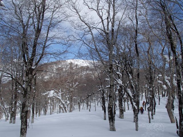 2019.2.24　鶴ノ湯温泉から大白森へ_a0344771_16083449.jpg