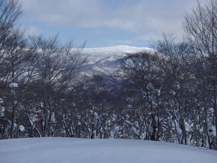 a0344771_16083731.jpg