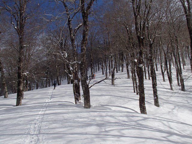 a0344771_16090640.jpg