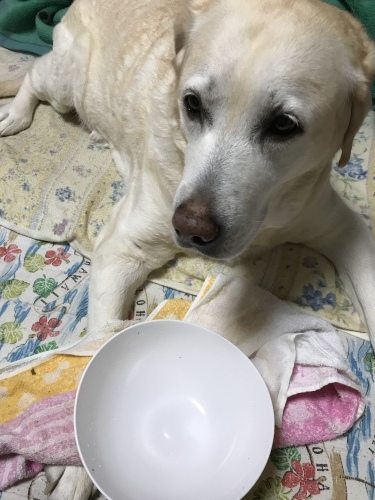 f0315081_22350249.jpeg