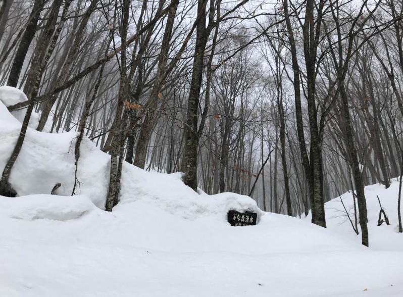 c0144185_1284512.jpg