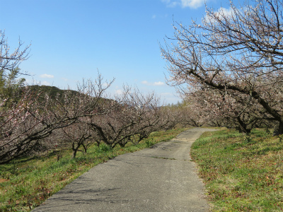 c0125501_15414434.jpg