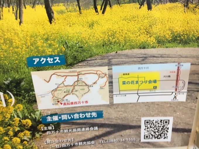 a0100706_21234231.jpg