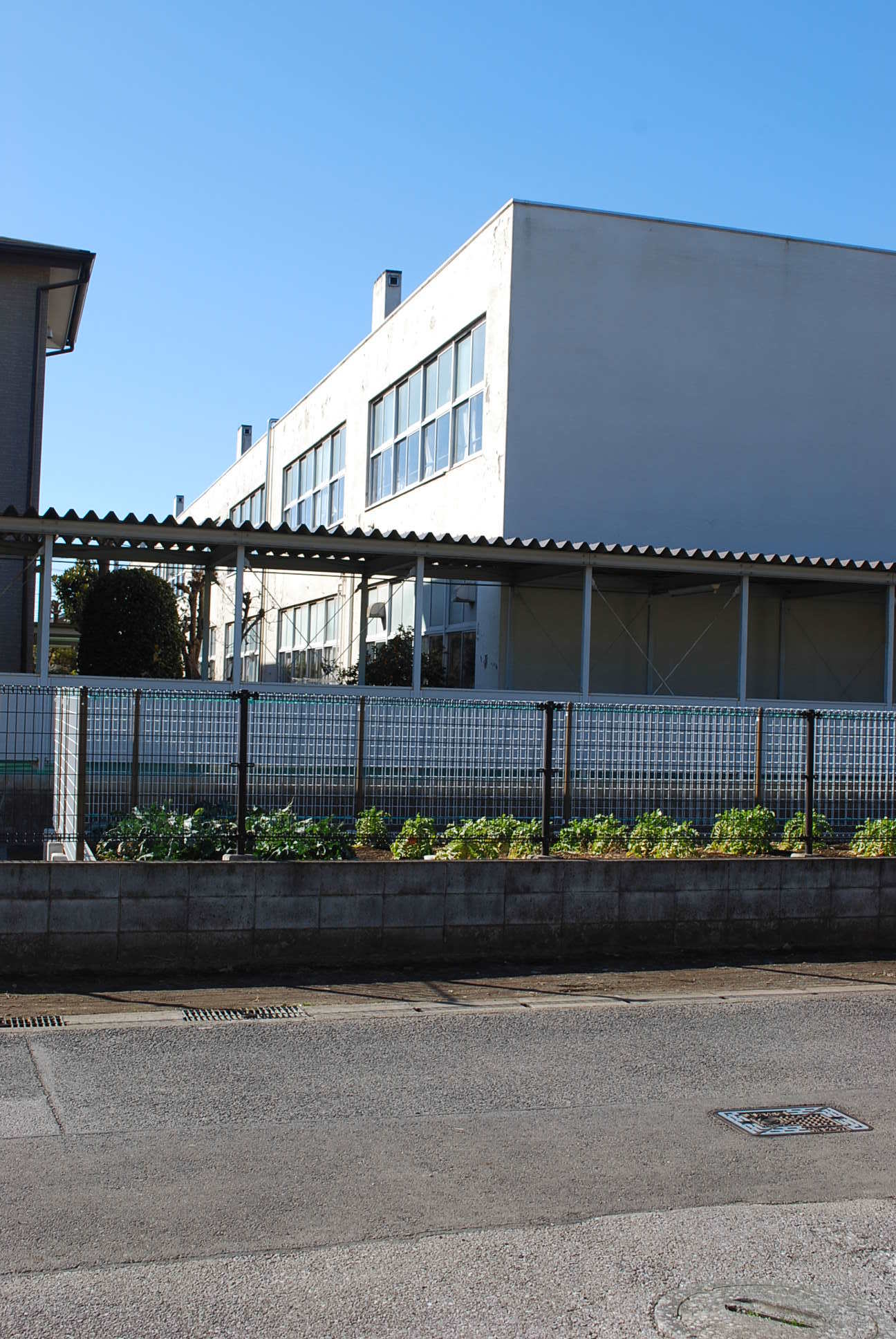 建築家・関根要太郎、生誕130年・没後60年(その3)_f0142606_16011576.jpg