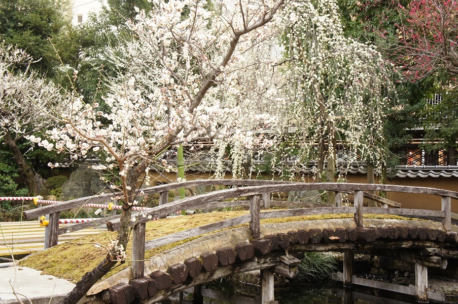 b0112909_22142183.jpg