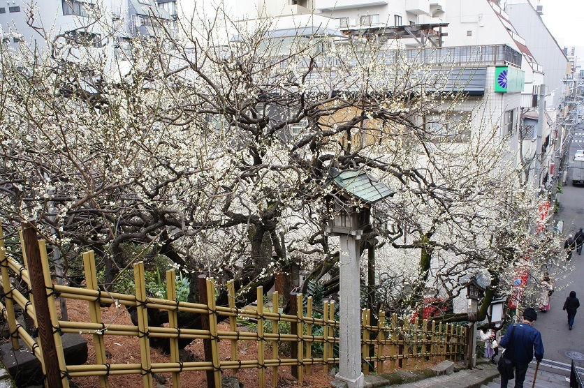 b0112909_22321678.jpg