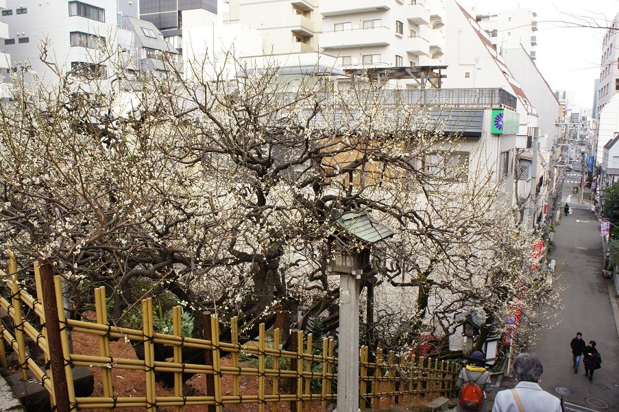 b0112909_22344440.jpg
